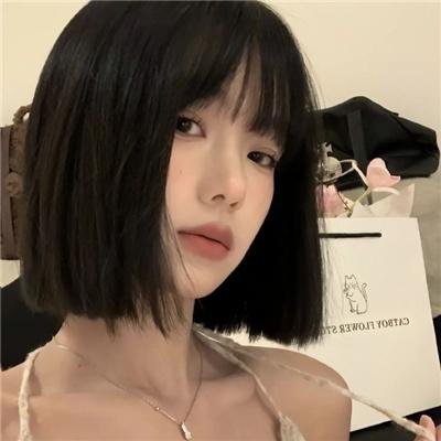 哈兰·科本的庇护所